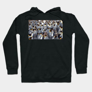 Crowd Hoodie